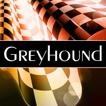 Greyhound